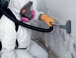 Best Mold Removal for HVAC Installations  in Sherwood Manor, CT